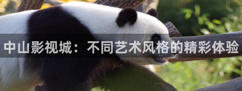 黑蚂蚁 电视剧：中山影视城：不同艺术风格的精彩体验