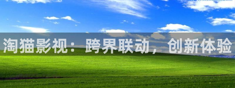 黑蚂蚁影院：淘猫影视：跨界联动，创新体验