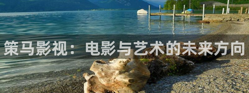黑蚂蚁影视：策马影视：电影与艺术的未来方向