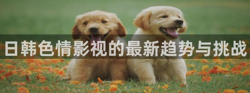 黑蚂蚁影院官网：日韩色情影视的最新趋势与挑战