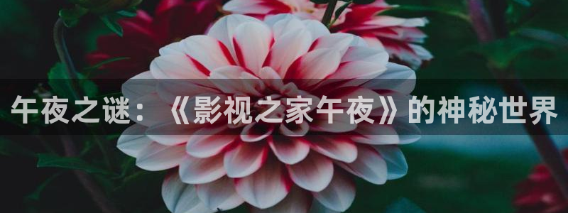 黑蚂蚁在线观看：午夜之谜：《影视之家午夜》的神秘世界