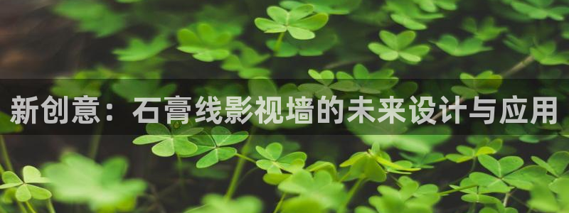 黑蚂蚁影院电视剧：新创意：石膏线影视墙的未来设计与应用