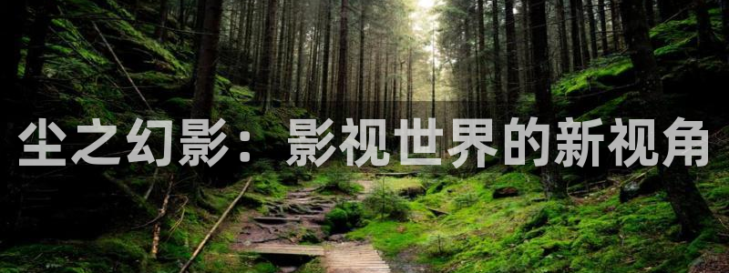 黑蚂蚁电影网：尘之幻影：影视世界的新视角