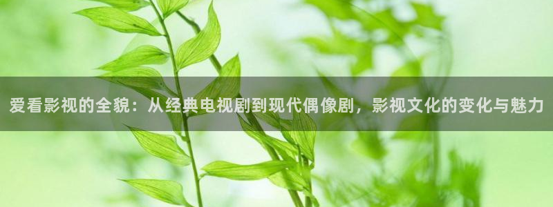 黑蚂蚁电视剧免费看：爱看影视的全貌：从经典电视剧到现代偶像剧，影视文化的变化与魅力