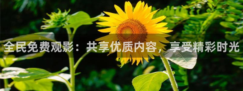 黑蚂蚁影院在线观看：全民免费观影：共享优质内容，享受精彩时光
