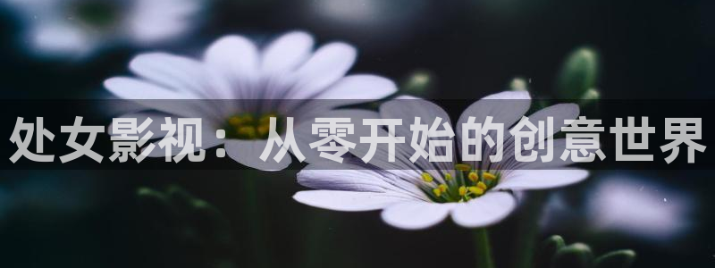 黑蚂蚁影视公司：处女影视：从零开始的创意世界
