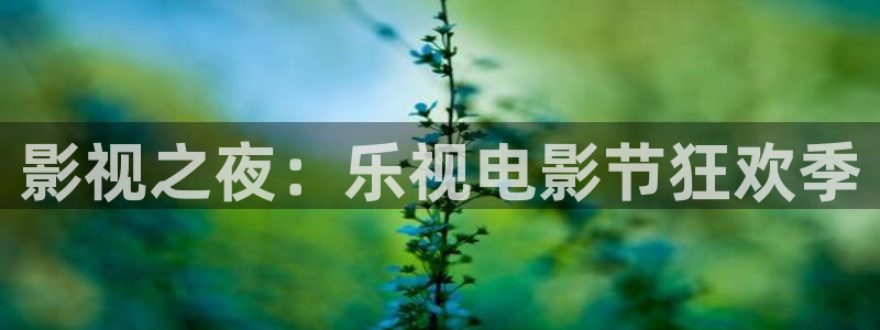 黑蚂蚁 影视：影视之夜：乐视电影节狂欢季