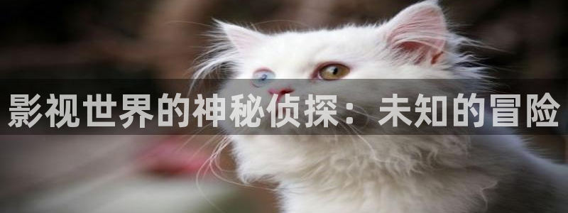 黑蚂蚁影视院：影视世界的神秘侦探：未知的冒险