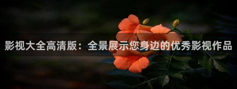 黑蚂蚁影视电视剧：影视大全高清版：全景展示您身边的优秀影视作品