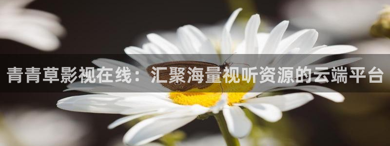 蚂蚁影视黑蚂蚁电视剧官网：青青草影视在线：汇聚海量视听资源的云端平台